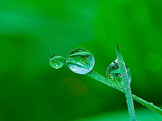 Mitos sobre el césped artificial